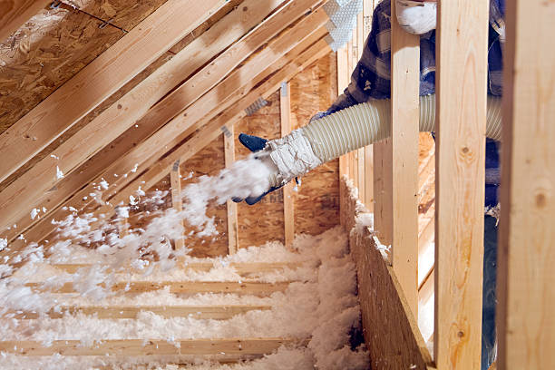 Professional Insulation Services in Muscoy, CA